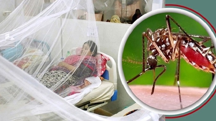 ডেঙ্গু জ্বরে কখন কী ধরণের টেস্ট করাতে হয়?