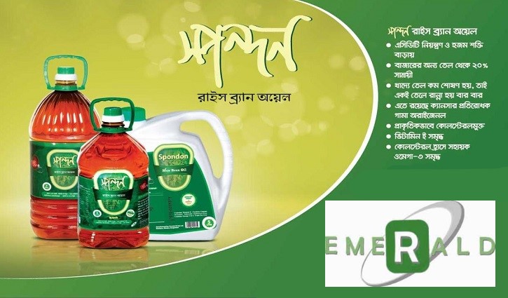 এমারাল্ড অয়েলের শত কোটি টাকা ঋণের সত্যতা নিরীক্ষক